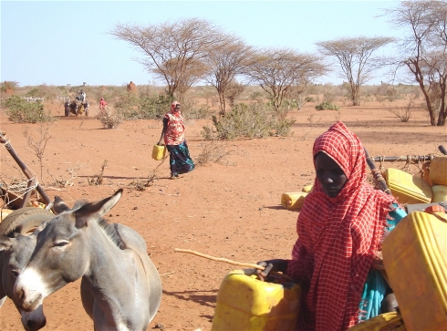 Nỗ lực không ngừng của Somali trong việc đẩy lùi nạn đói